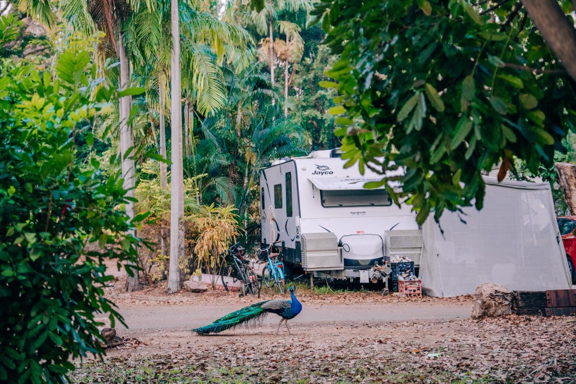 Big4 Howard Springs Holiday Park Ντάρβιν Εξωτερικό φωτογραφία